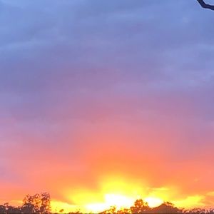 Meet your Posher, Bree